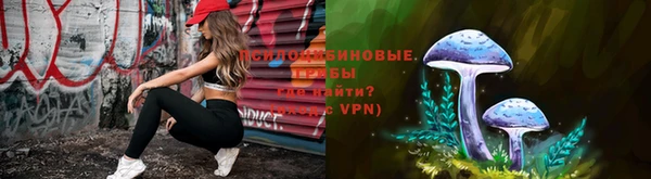 бошки Алексеевка