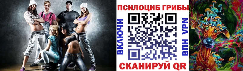 Псилоцибиновые грибы мицелий  Бердск 