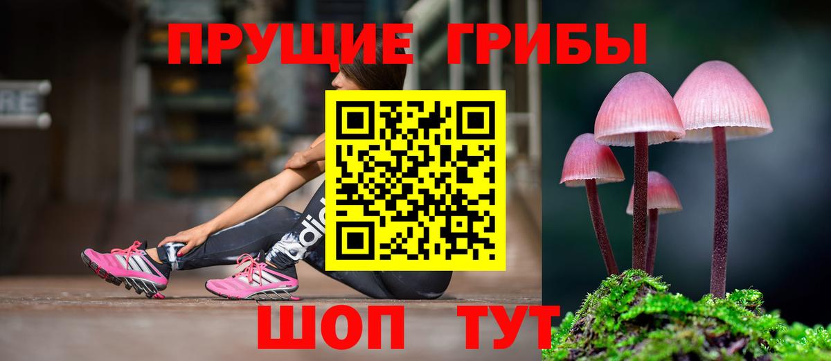 Галлюциногенные грибы GOLDEN TEACHER Бердск